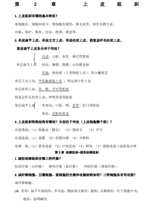 组胚简答题