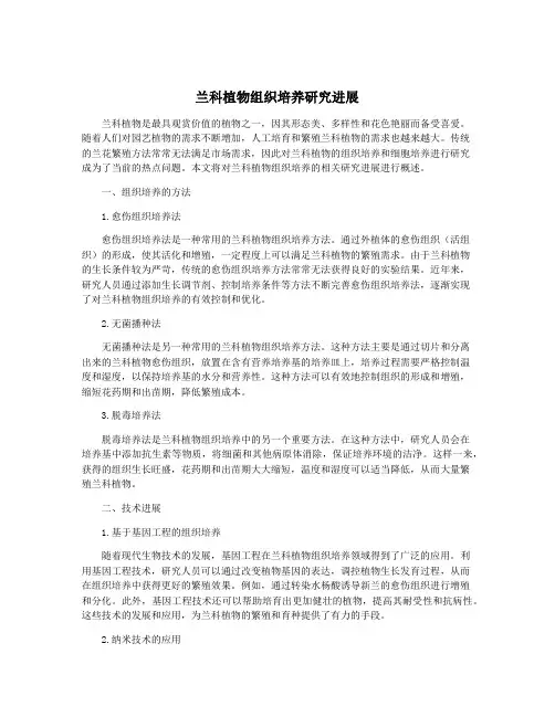 兰科植物组织培养研究进展