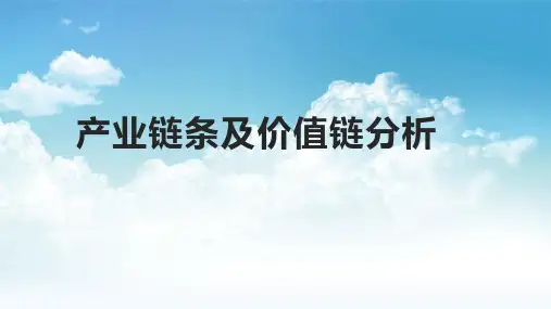 产业链条及价值链分析