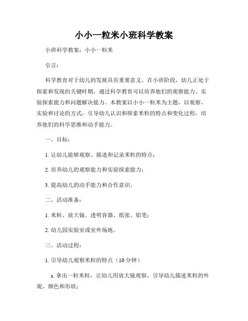 小小一粒米小班科学教案