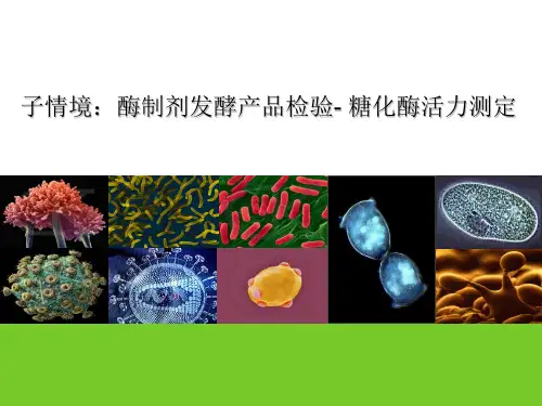 酶制剂发酵产品检验—糖化酶糖化酶活力测定
