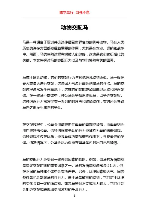 动物交配马