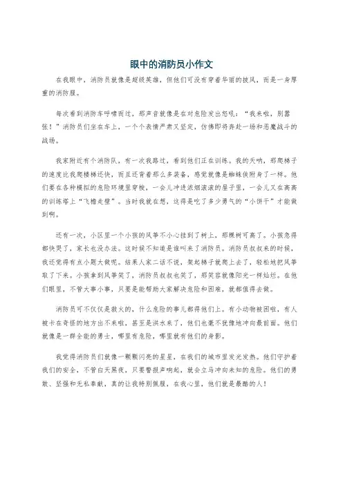 眼中的消防员小作文
