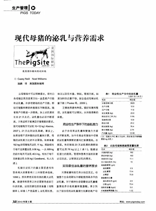 现代母猪的泌乳与营养需求