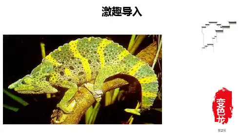 变色龙示范市公开课一等奖省优质课获奖课件