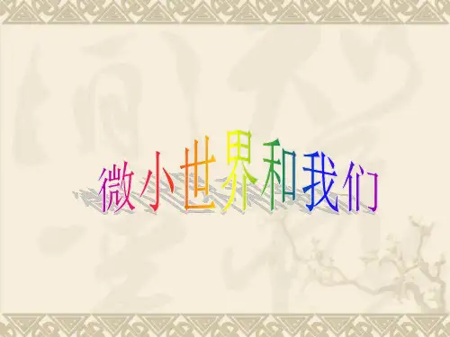 最新教科版科学六年级下册《微小世界和我们》精品课件