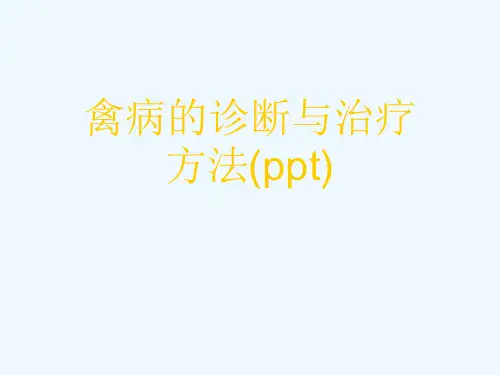禽病的诊断与治疗方法(ppt)