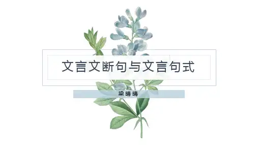 文言文阅读之文言断句与文言句式-备战2022年中考语文三轮冲刺精准点击
