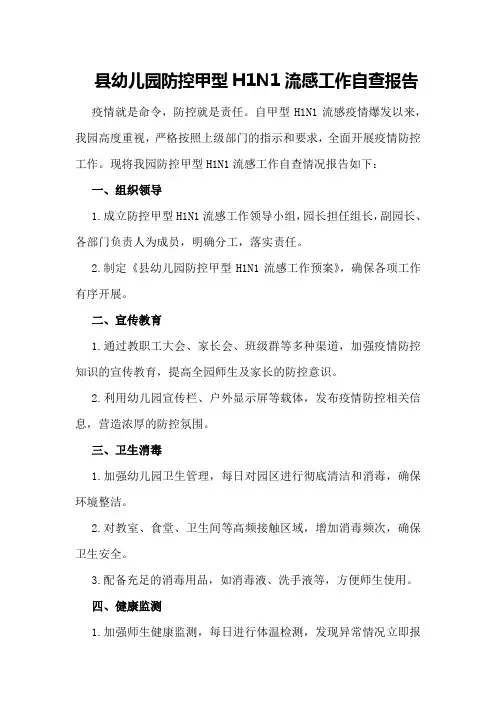 县幼儿园防控甲型HN流感工作自查报告