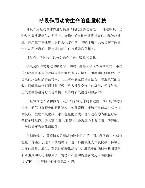 呼吸作用动物生命的能量转换