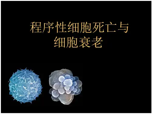 1GGH安装作业指导书005 (613)