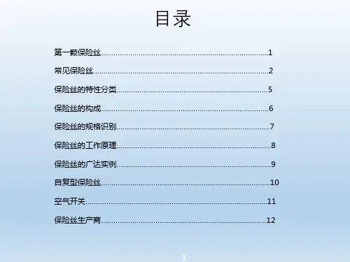 保险丝的分类与介绍
