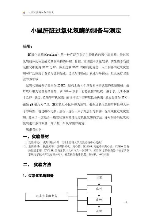 小鼠肝脏过氧化氢酶的制备与测定