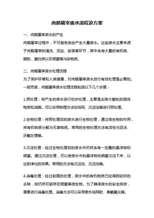 肉鹅屠宰废水流程及方案