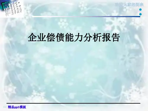 企业偿债能力分析报告