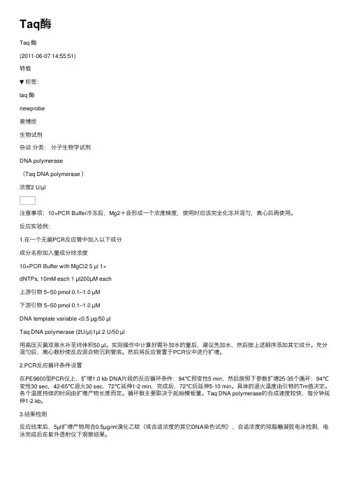 Taq酶——精选推荐