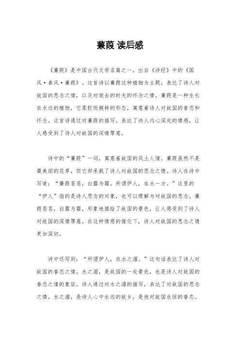 蒹葭 读后感