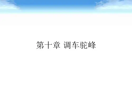 (完整版)铁路线路及站场第十章调车驼峰