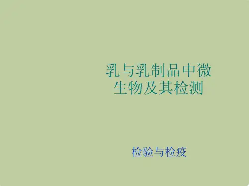 乳与乳制品中微生物及其检测