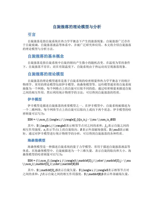 自旋涨落的理论模型与分析