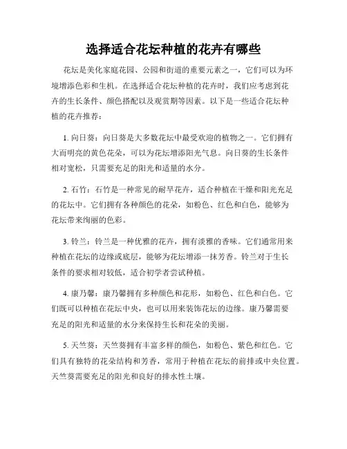 选择适合花坛种植的花卉有哪些