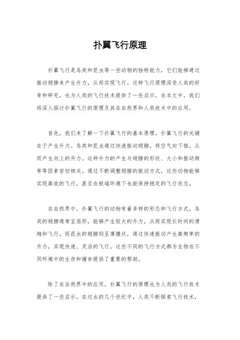 扑翼飞行原理