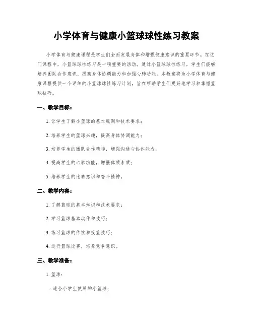 小学体育与健康小篮球球性练习教案