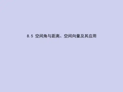 新高考数学总复习专题八空间角与距离、空间向量及其应用课件