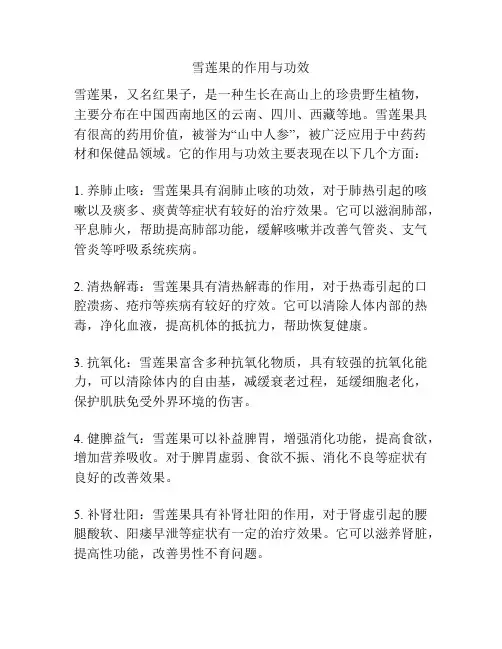 雪莲果的作用与功效