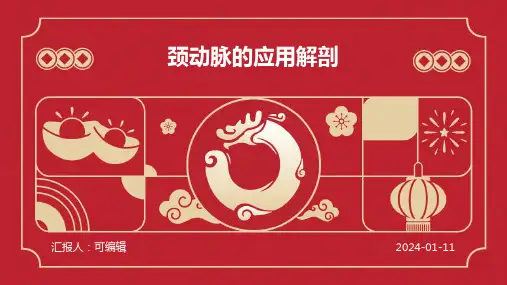 颈动脉的应用解剖ppt