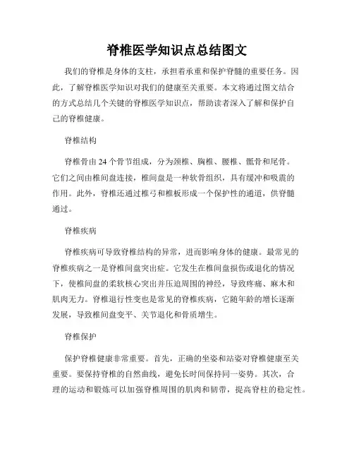 脊椎医学知识点总结图文