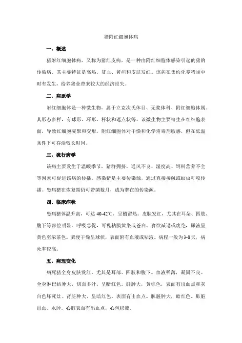 猪附红细胞体病简答题