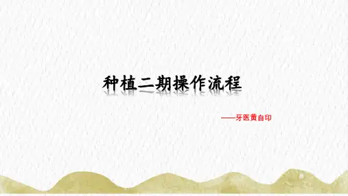 种植二期操作流程 黄自印
