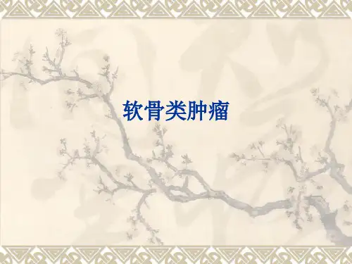 软骨类肿瘤