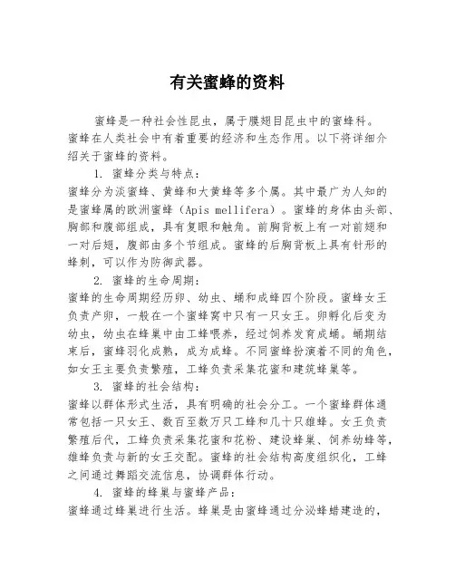 有关蜜蜂的资料