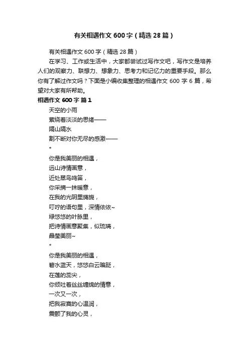 有关相遇作文600字（精选28篇）