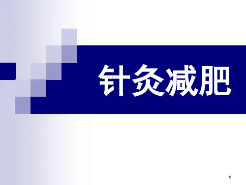 针灸减肥PPT幻灯片课件