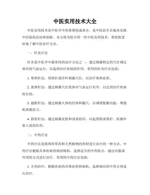 中医实用技术大全