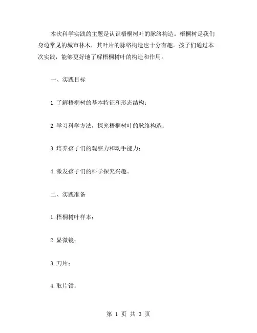 认识梧桐树叶的脉络构造：幼儿园科学实践教案