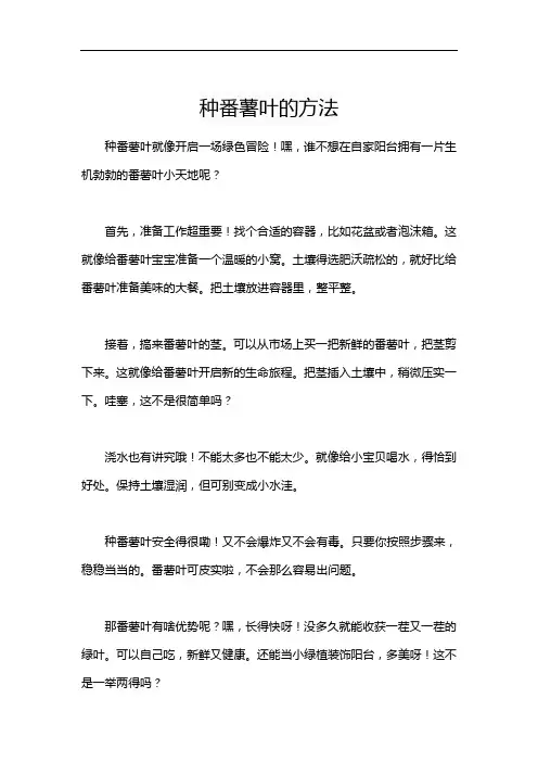 种番薯叶的方法