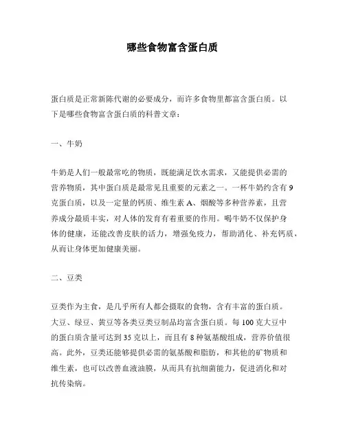 哪些食物富含蛋白质