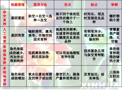常见育种方法(PPT)5-4