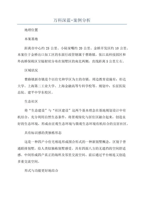 万科深蓝-案例分析