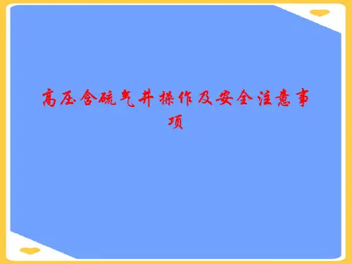 高压含硫气井操作及安全注意事项.正式版PPT文档