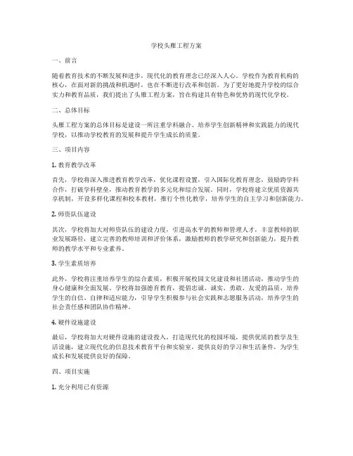 学校头雁工程方案