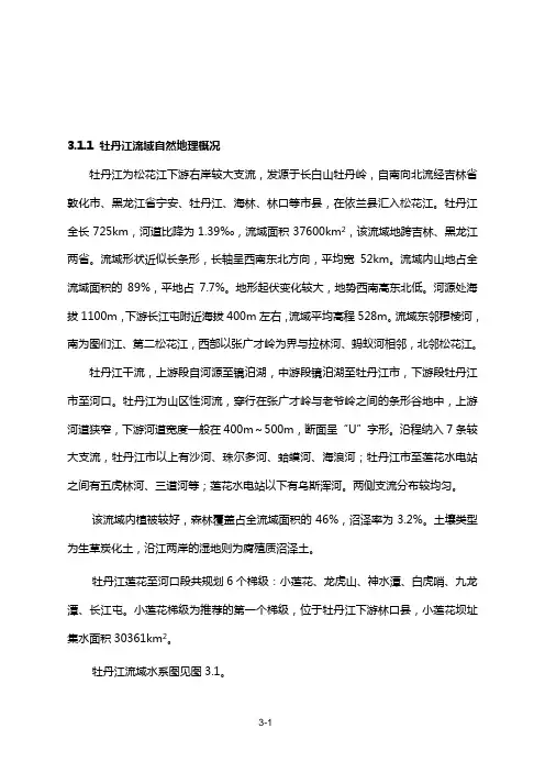 最新小莲花水文报告.