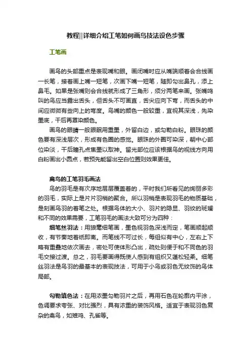 教程‖详细介绍工笔如何画鸟技法设色步骤