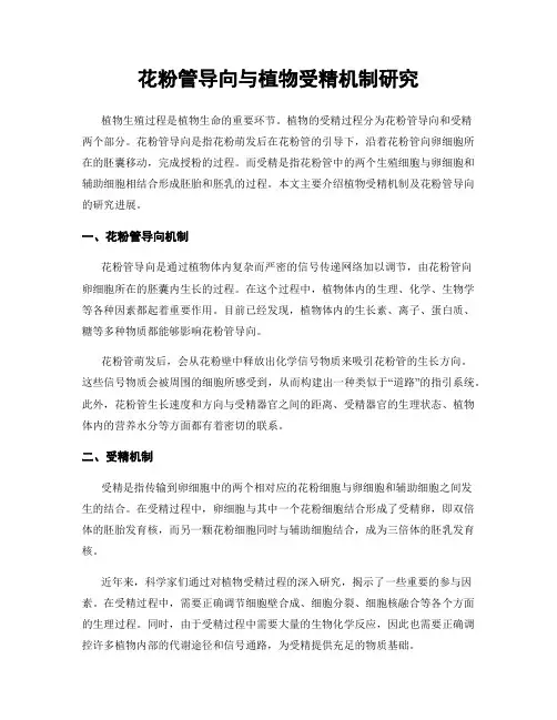花粉管导向与植物受精机制研究