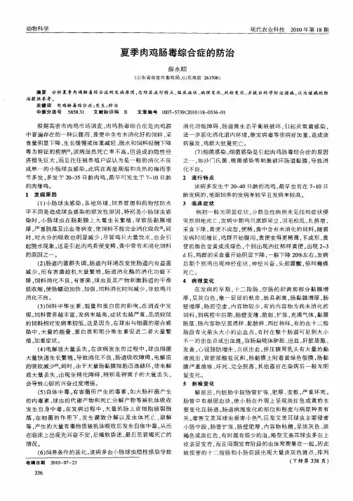 夏季肉鸡肠毒综合症的防治