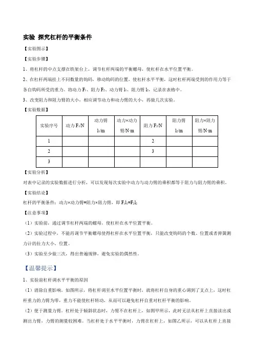 拓展1探究杠杆的平衡条件(原卷版)